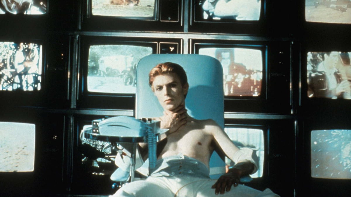 The Man Who Fell to Earth