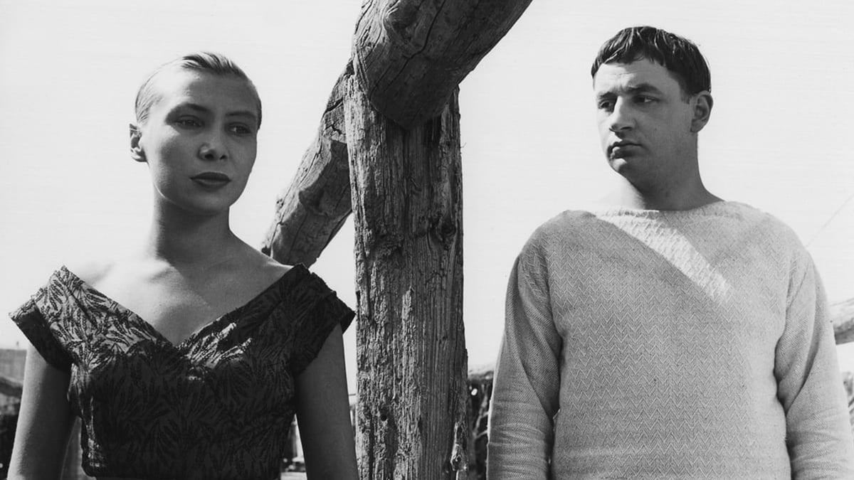 Varda: A Retrospective