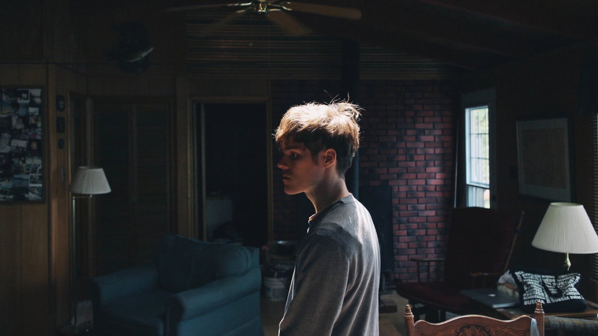Sound + Vision Live: Foxes in Fiction