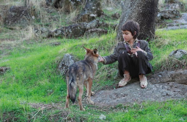 Among Wolves