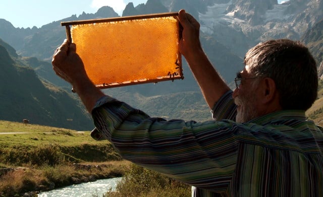 The Beekeeper
