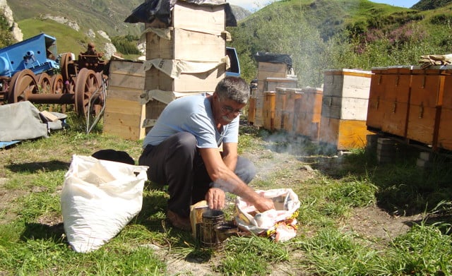 The Beekeeper