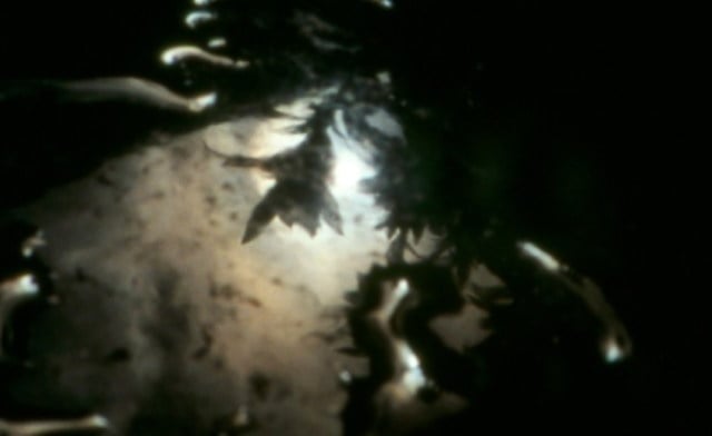 Program 20: Momentary Light and Seasonal Songs – The Films of Nathaniel Dorsky and Jerome Hiler