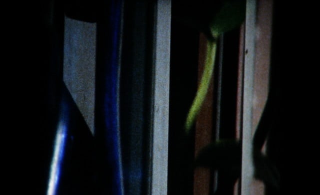 Program 10: Super-8 Short Fuse Incandescence