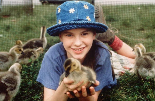 Fly Away Home