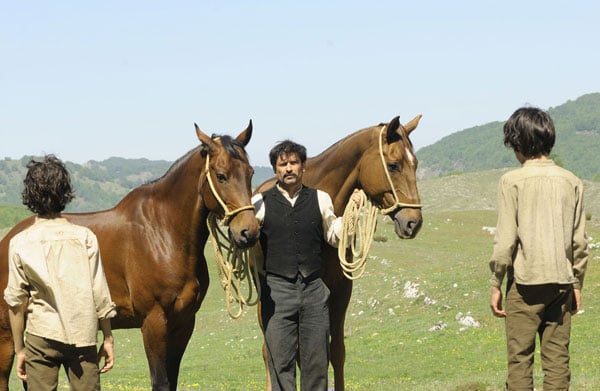 Of Horses and Men