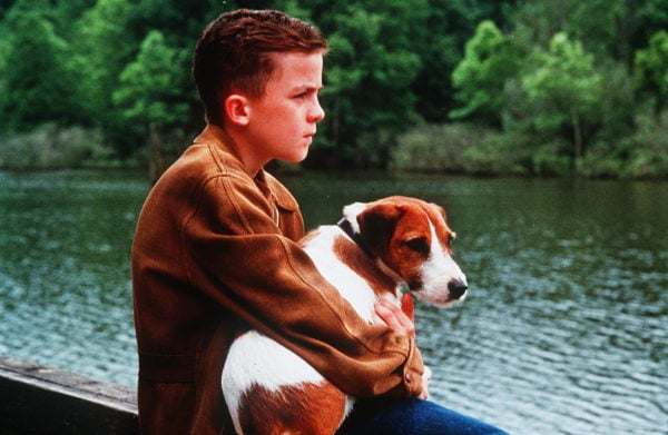 My Dog Skip