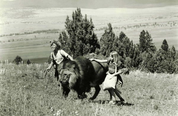 Napoleon and Samantha