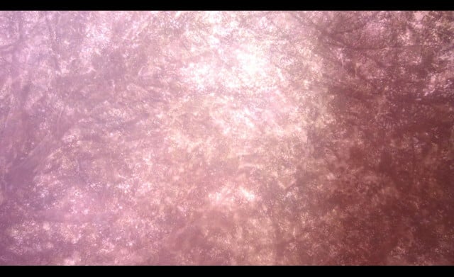 Projections Program 10