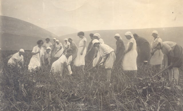The Women Pioneers