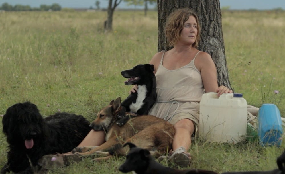 Dog Lady