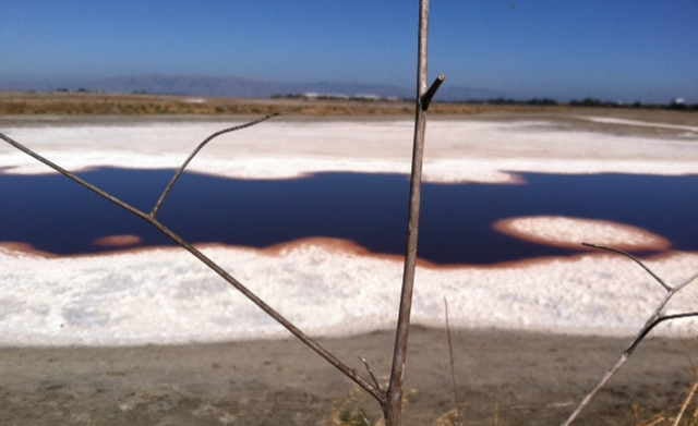 Program 20: Momentary Light and Seasonal Songs – The Films of Nathaniel Dorsky and Jerome Hiler