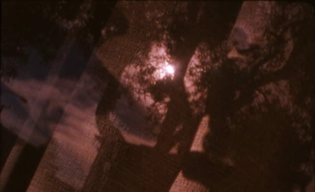 Program 20: Momentary Light and Seasonal Songs – The Films of Nathaniel Dorsky and Jerome Hiler