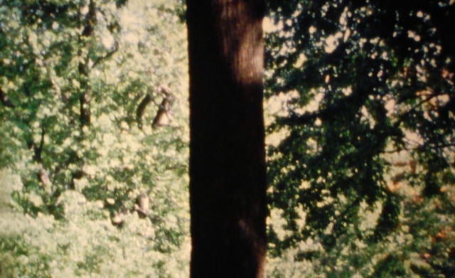 Program 10: Super-8 Short Fuse Incandescence