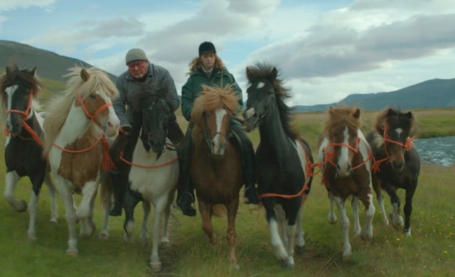 Of Horses and Men