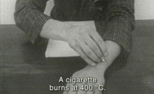 What Farocki Taught + Inextinguishable Fire