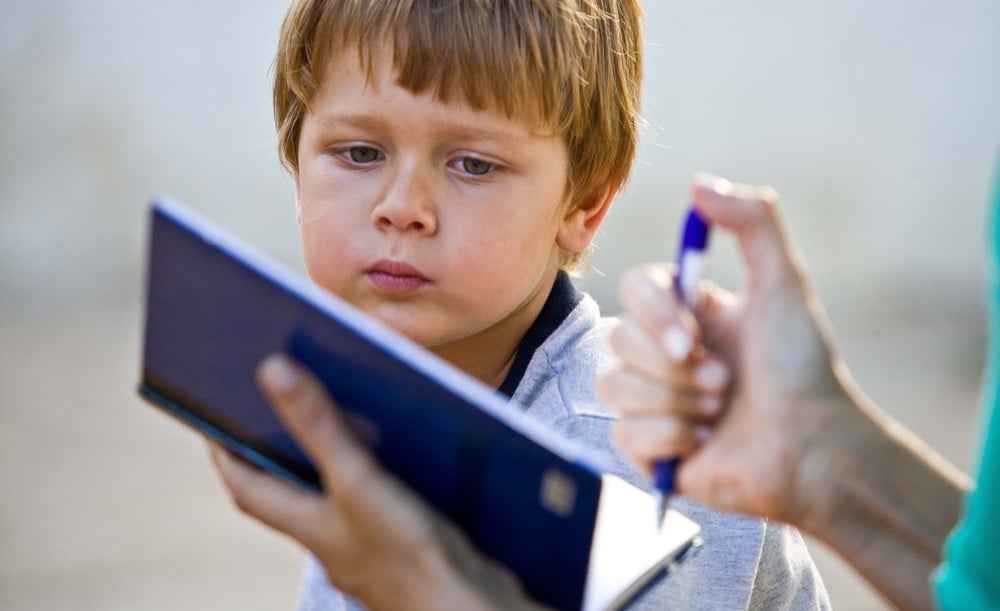 The Kindergarten Teacher