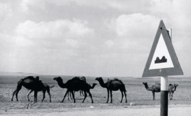 Program 4: Chris Marker – Description of a Struggle