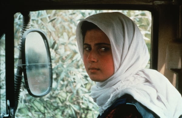 Through the Olive Trees