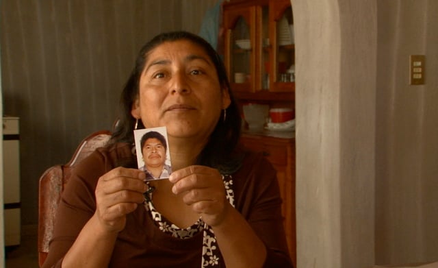 The Undocumented