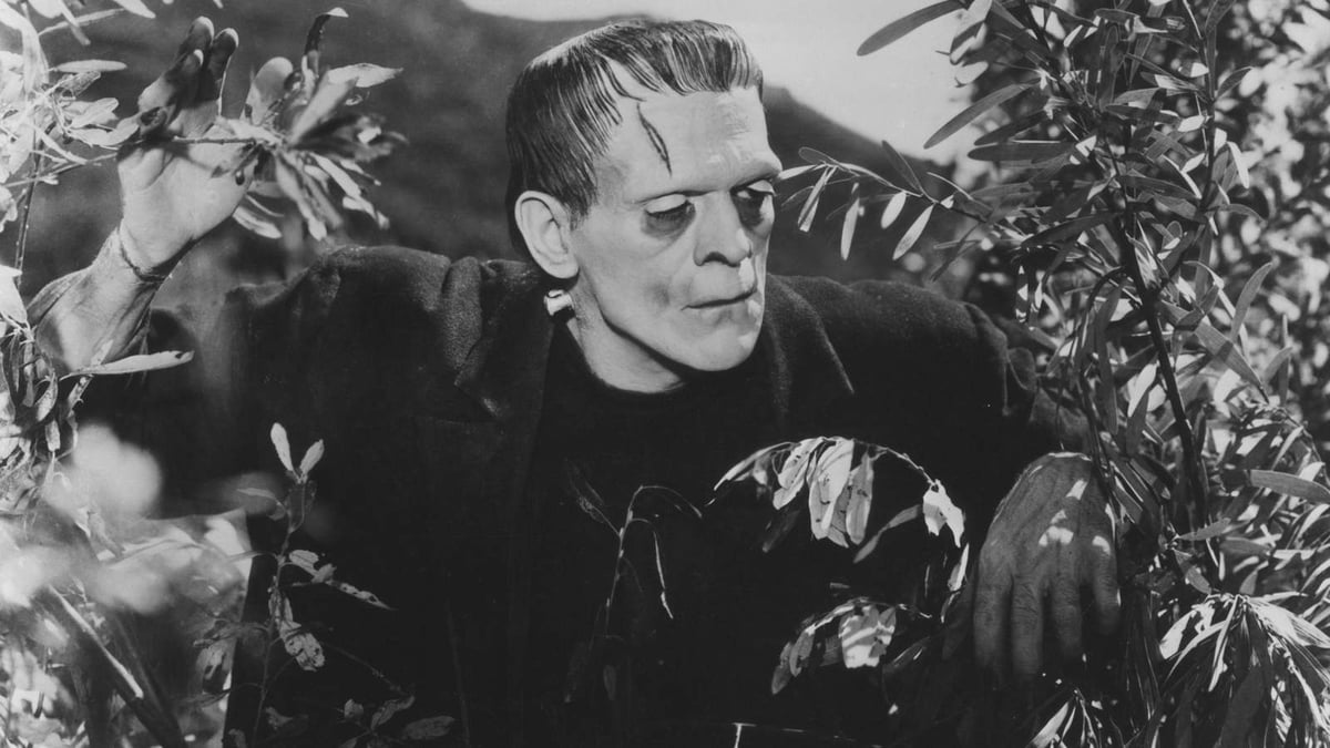 Frankenstein (1931)