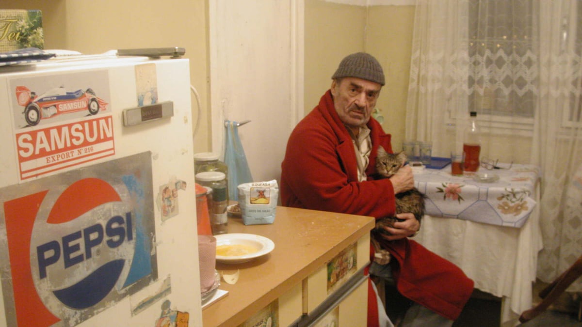 The Death of Mr. Lăzărescu