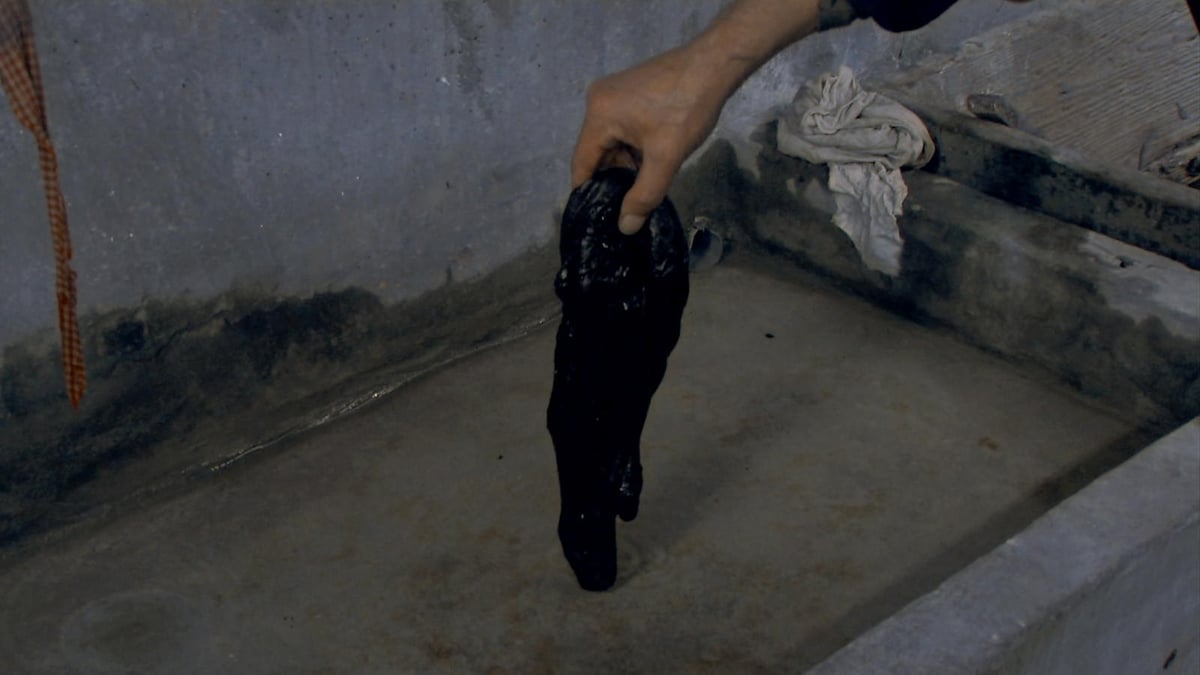 Shorts Program 2