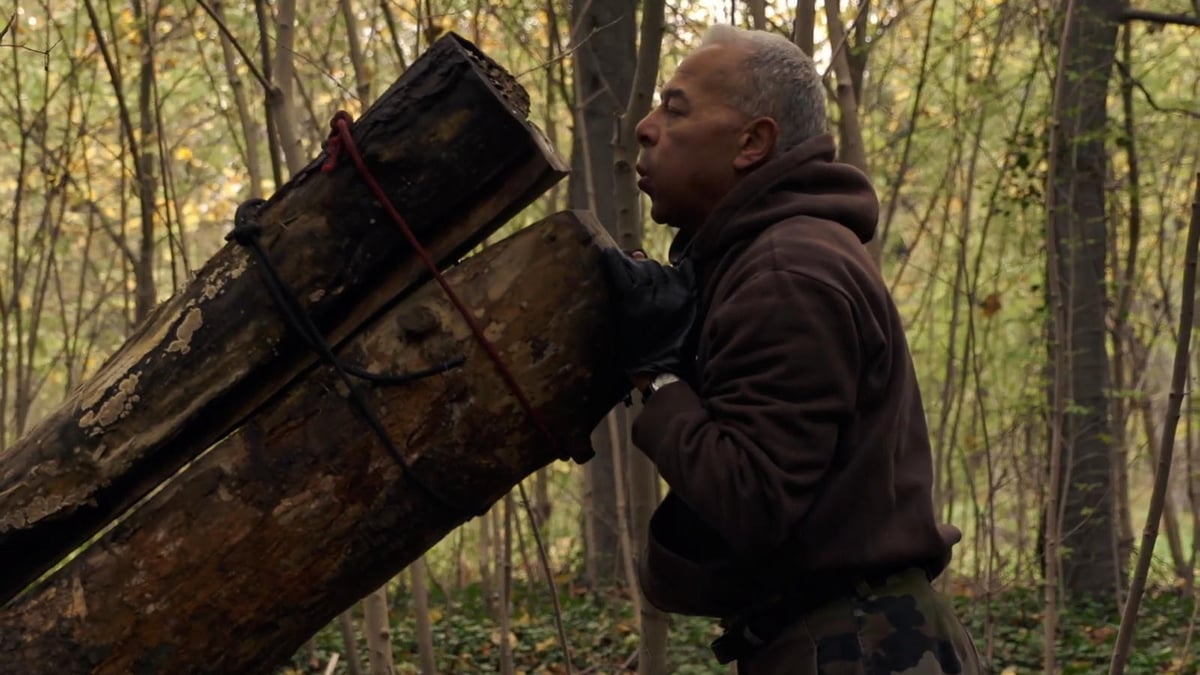 The Woods Dreams Are Made Of