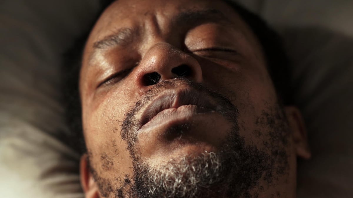 Shorts Program 2: Africa in New York