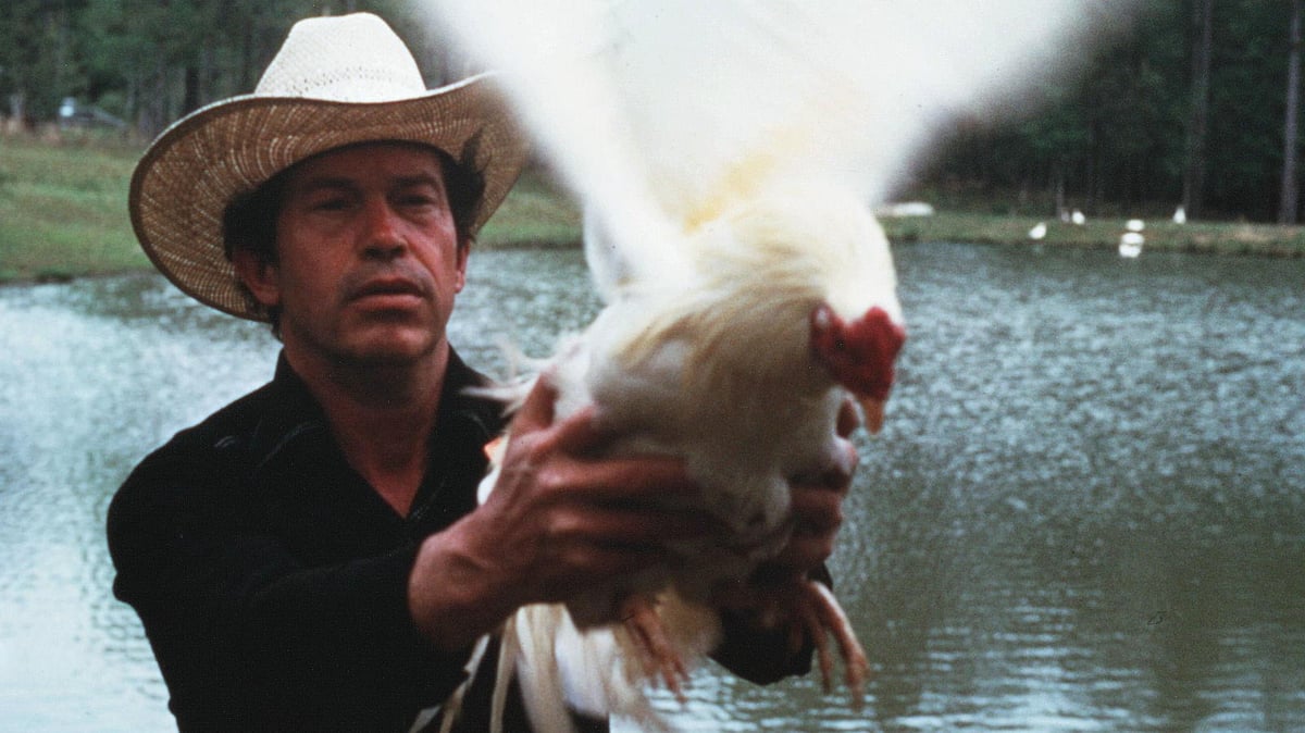 Cockfighter