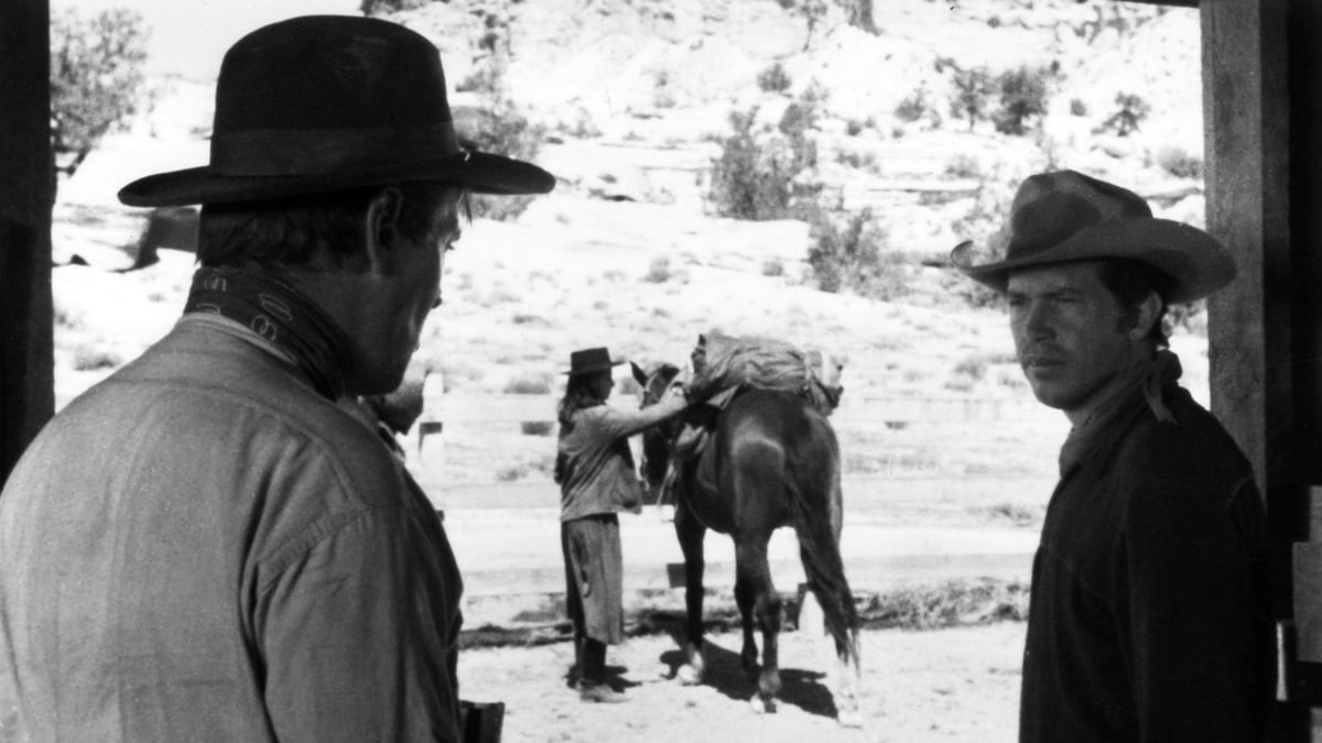The Shooting