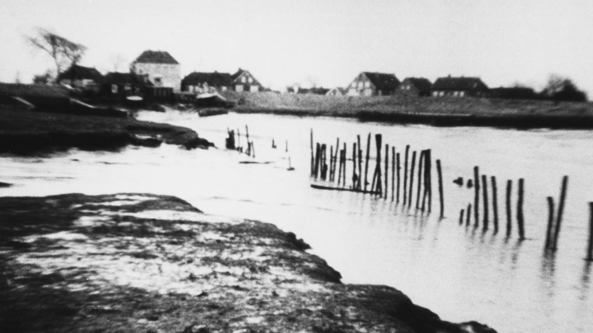 Peter Nestler Program 1