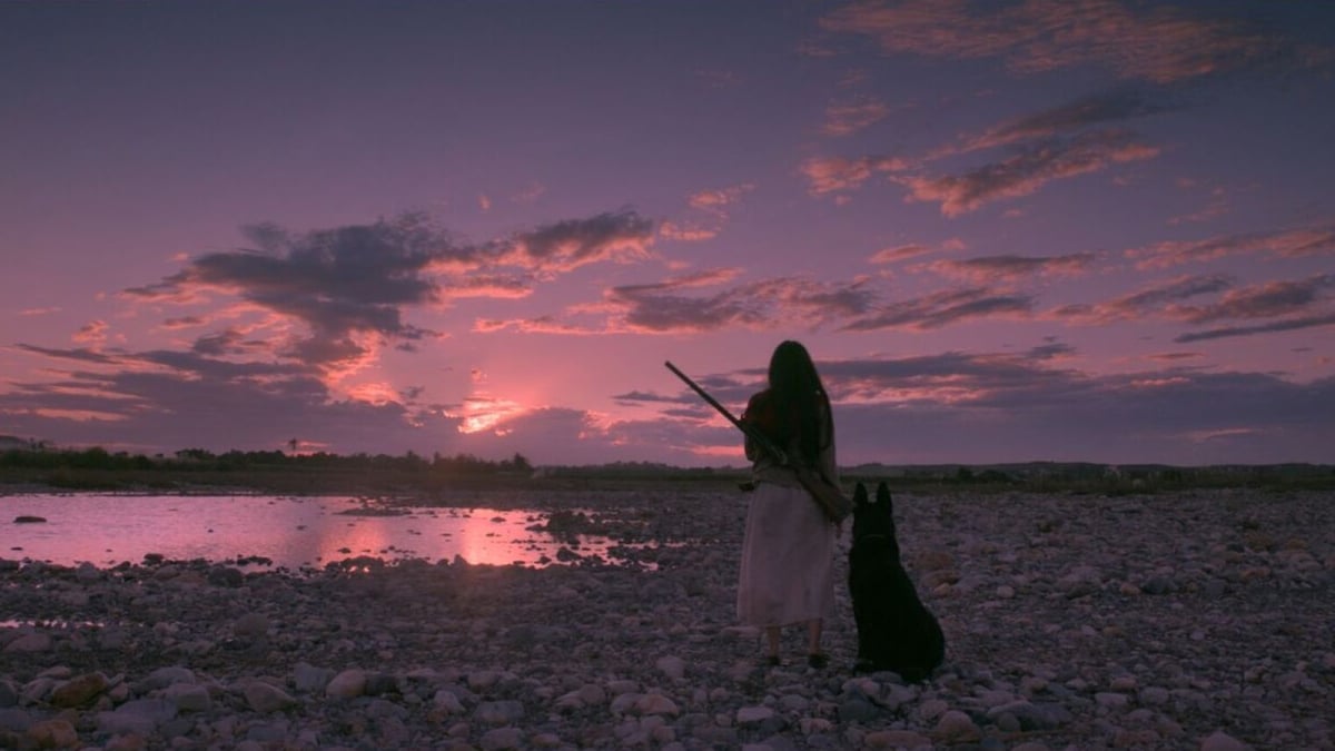 Birdshot