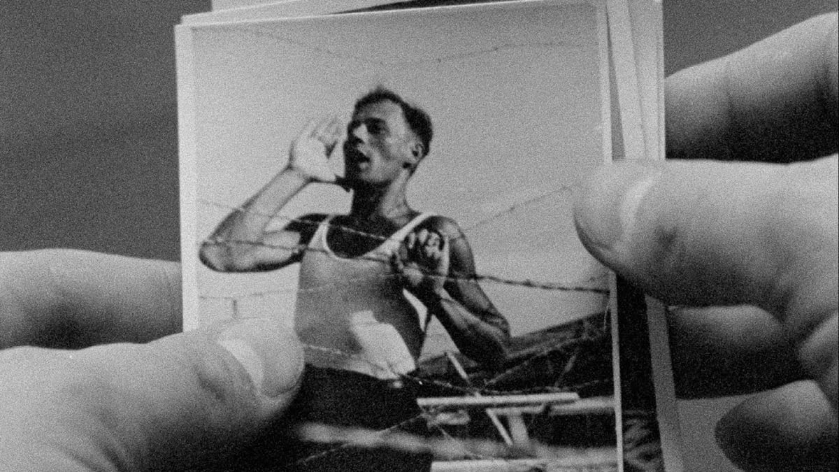 Peter Nestler Program 5