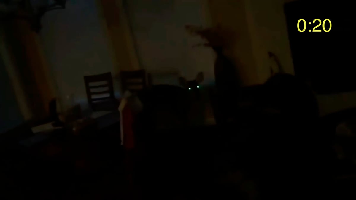 Program 4: First Person