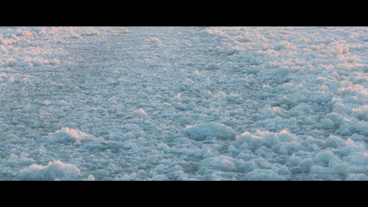 Program 4: First Person
