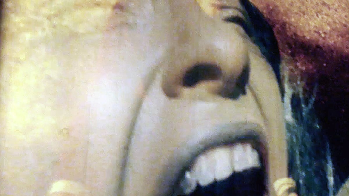 Barbara Hammer Program