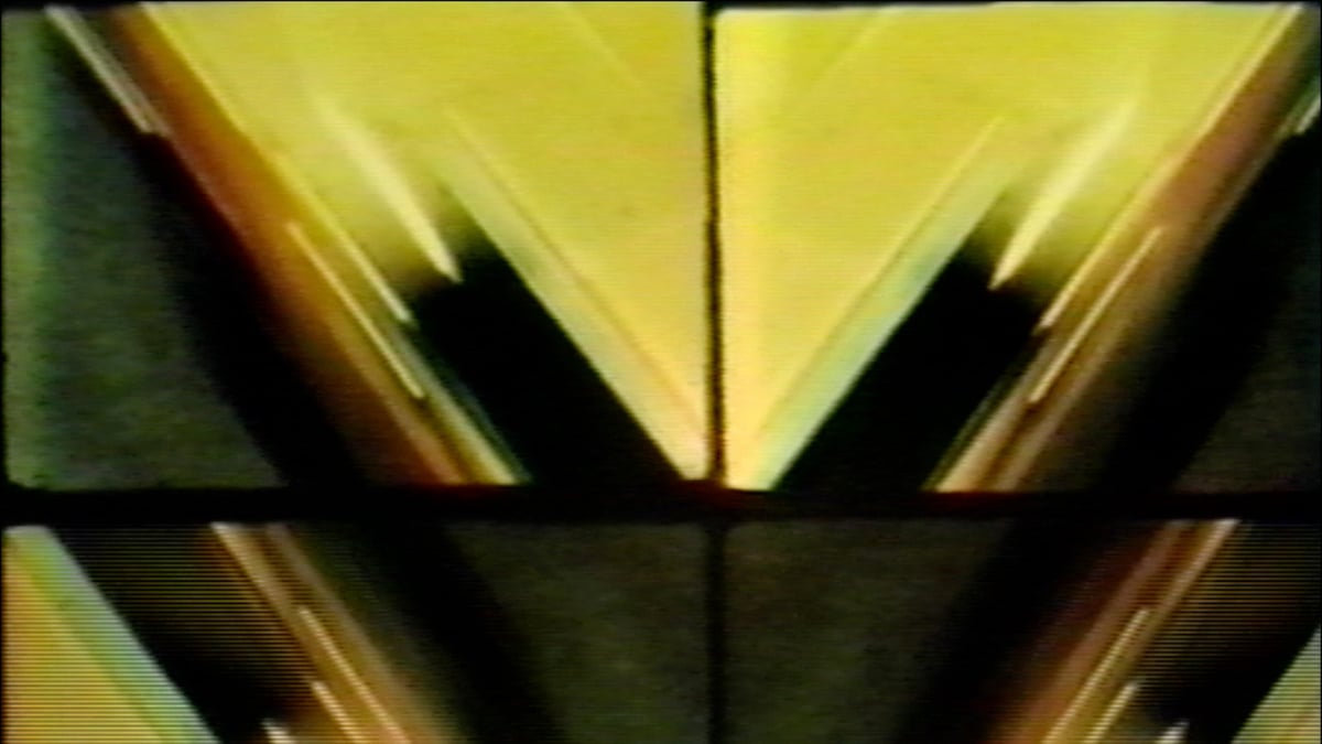 Barbara Hammer Program