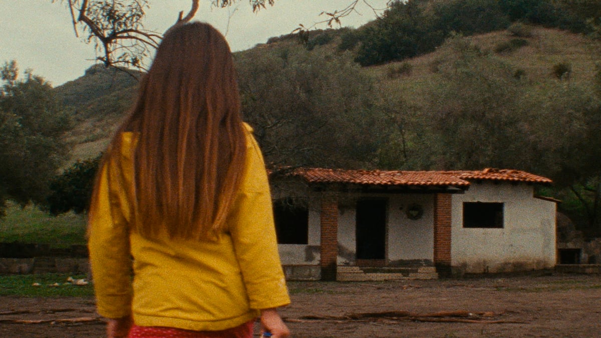 Shorts Program 2: Genre Stories