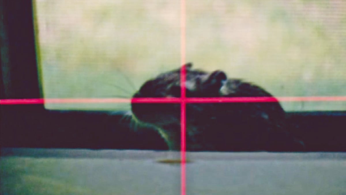 Punishment Park + Rat Life and Diet in North America