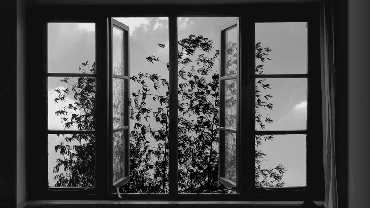 24 Frames