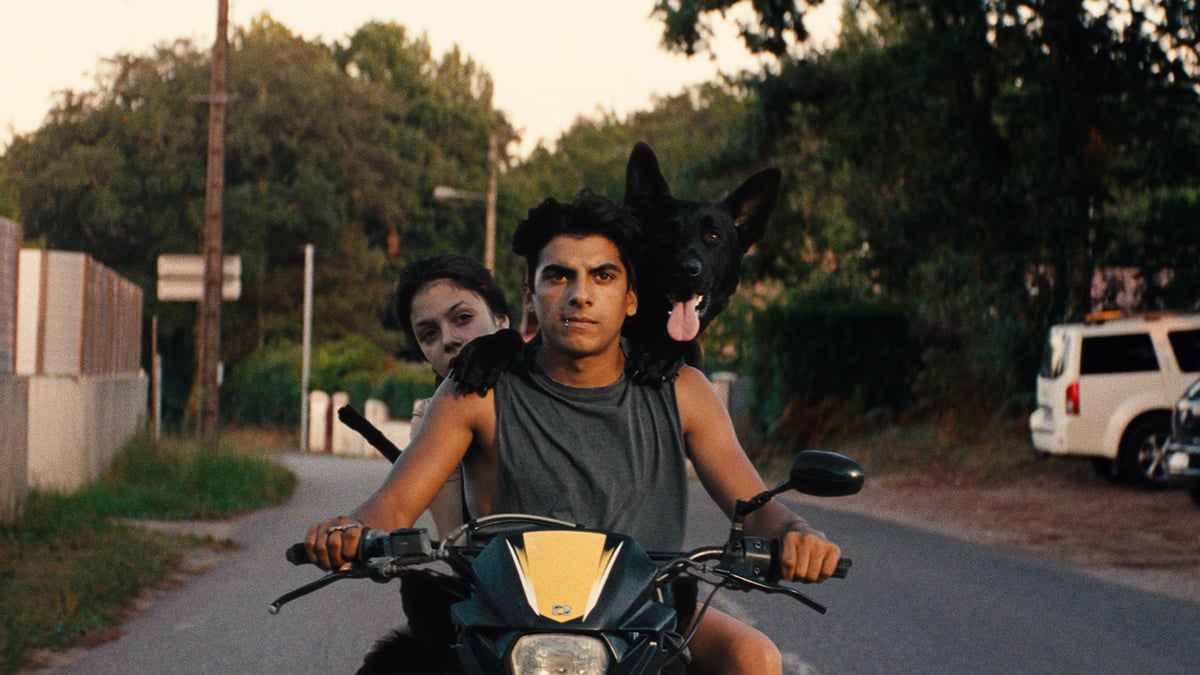 Ava