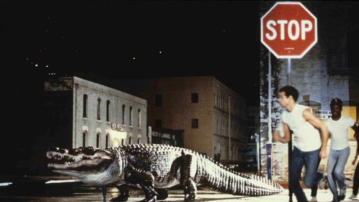 Alligator