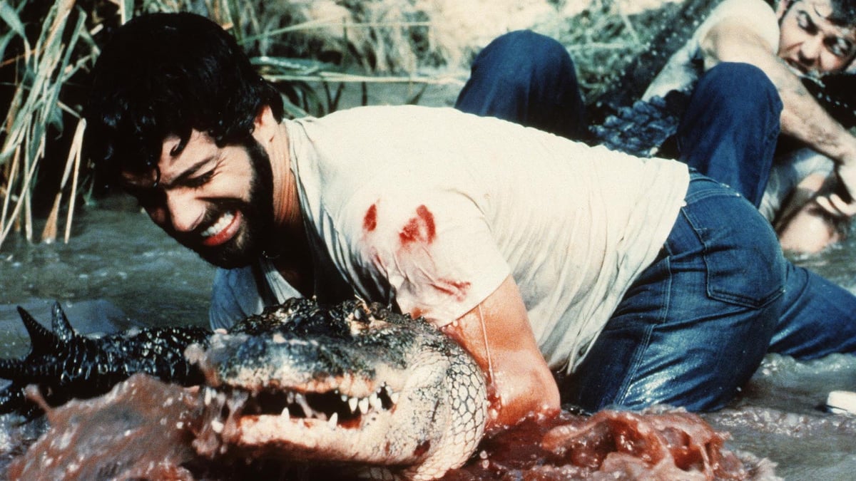 Alligator