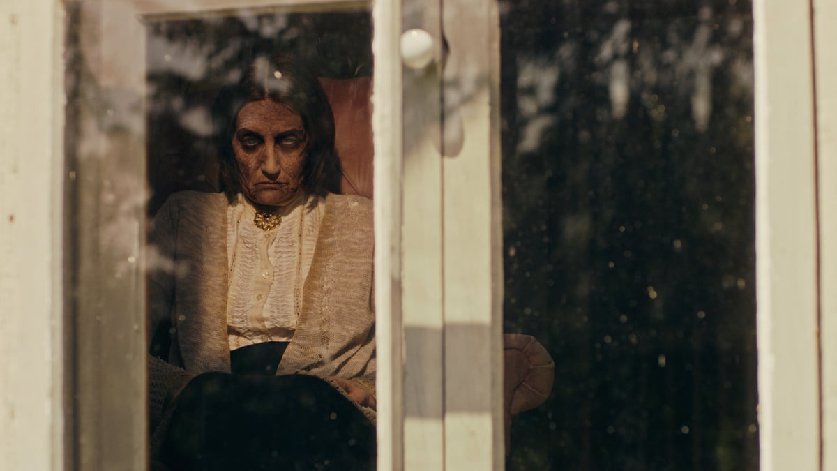 The Witch in the Window