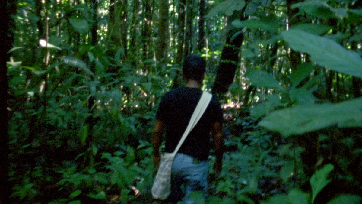 Program 3: Trips to the Interior
