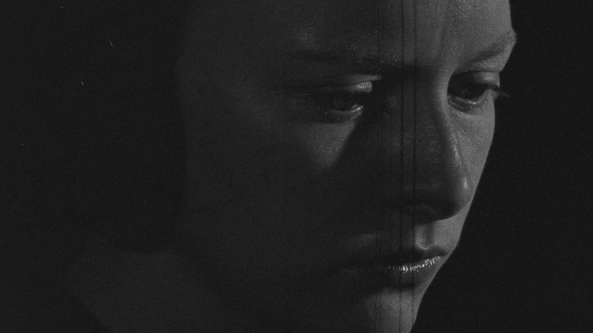 International Shorts Program II