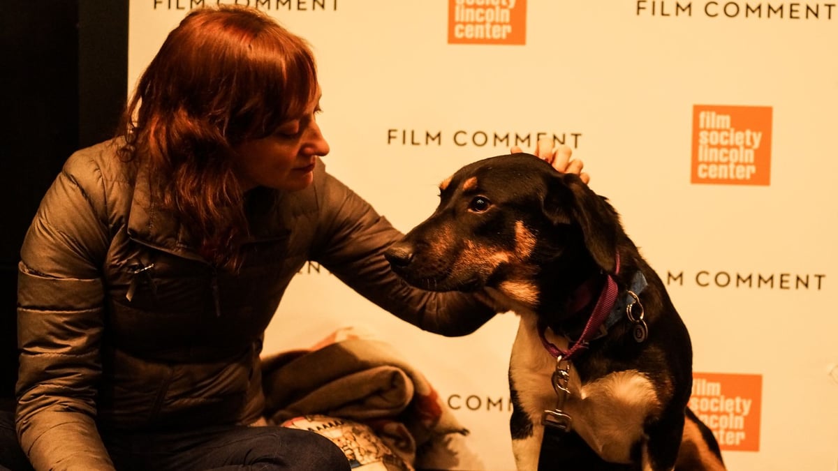 Photos: <i>High Flying Bird</i>, <i>Sunset</i> & More at Film Comment Selects 2019!