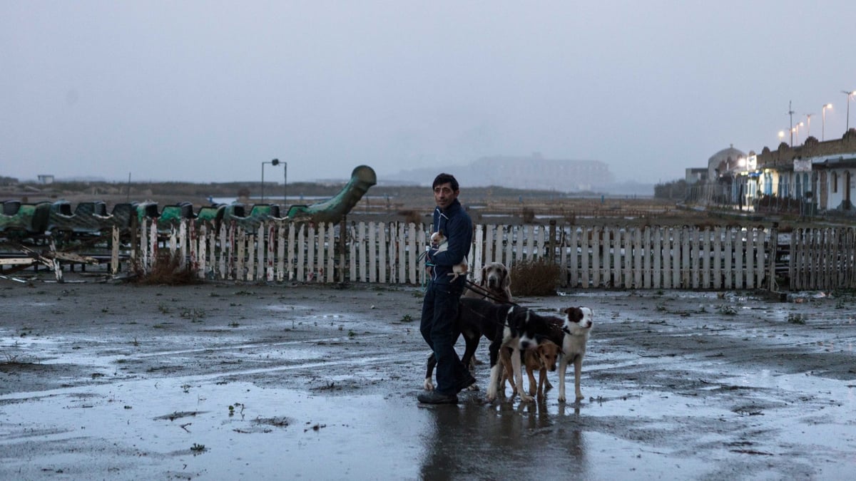 Dogman