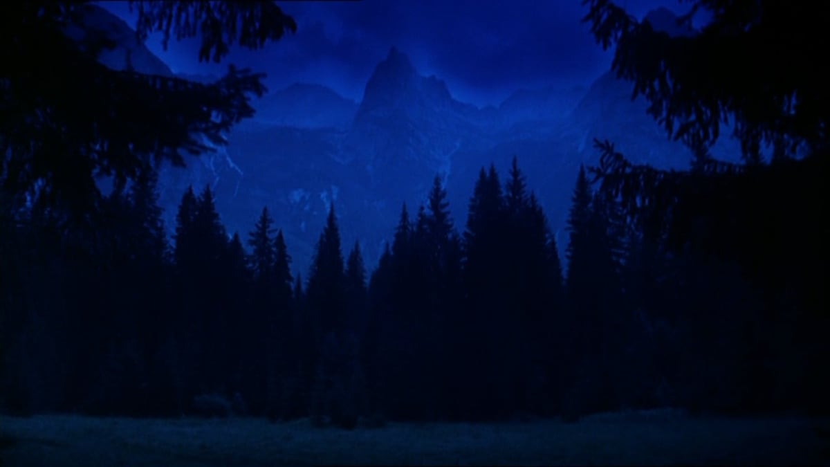 The Secret of the Old Woods